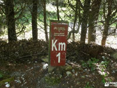 Vuelta al Senderismo-Valle Lozoya; las herreras fotos patones embalse buendia puerto cruz verde qued